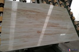 Asian petrified wood marble